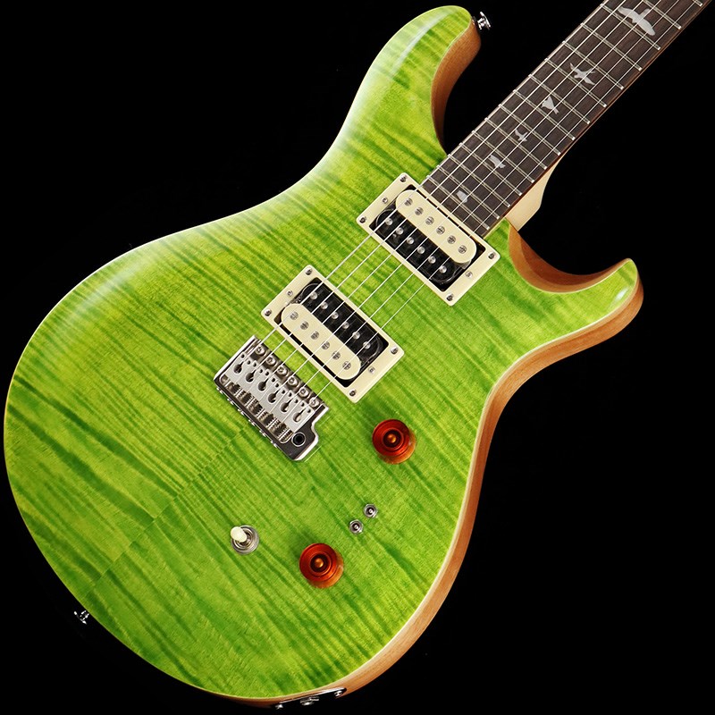 P.R.S. SE Custom 24-08 (Eriza Verde)の画像